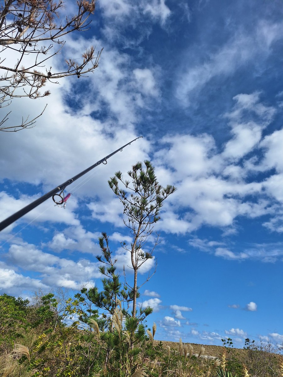 ランガンCUPのお陰でタフコン慣れして今日はとっても釣り日和🎣☀️