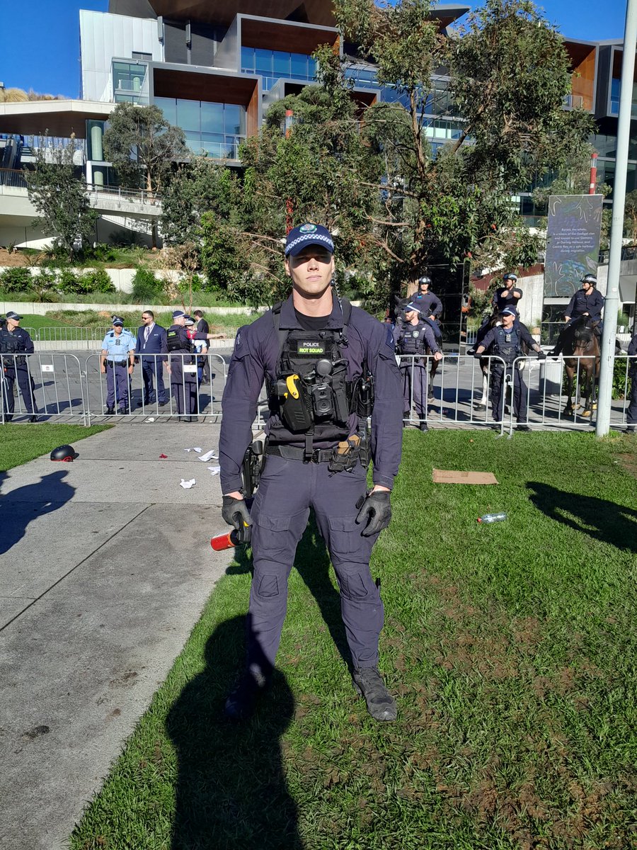 Nick Riemer tweet media