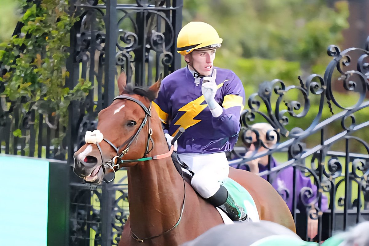 SimmsTroy78's tweet image. Rippa in the last on Cup day. Go well son 🐎⚡️💨⚡️💨⚡️
#melbournecup