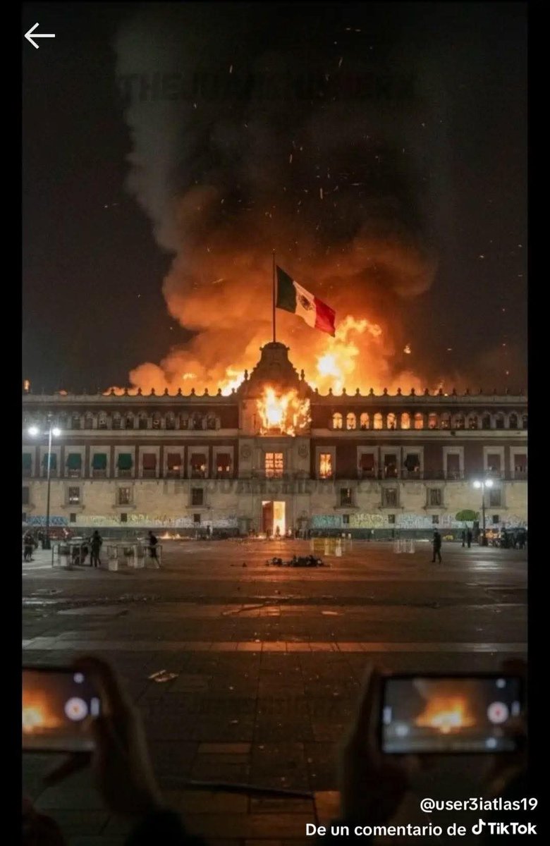 Rubén Portillo PROTESTO LO NECESARIO tweet media