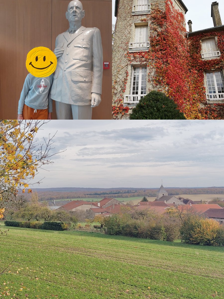 Camille Etourneau tweet media