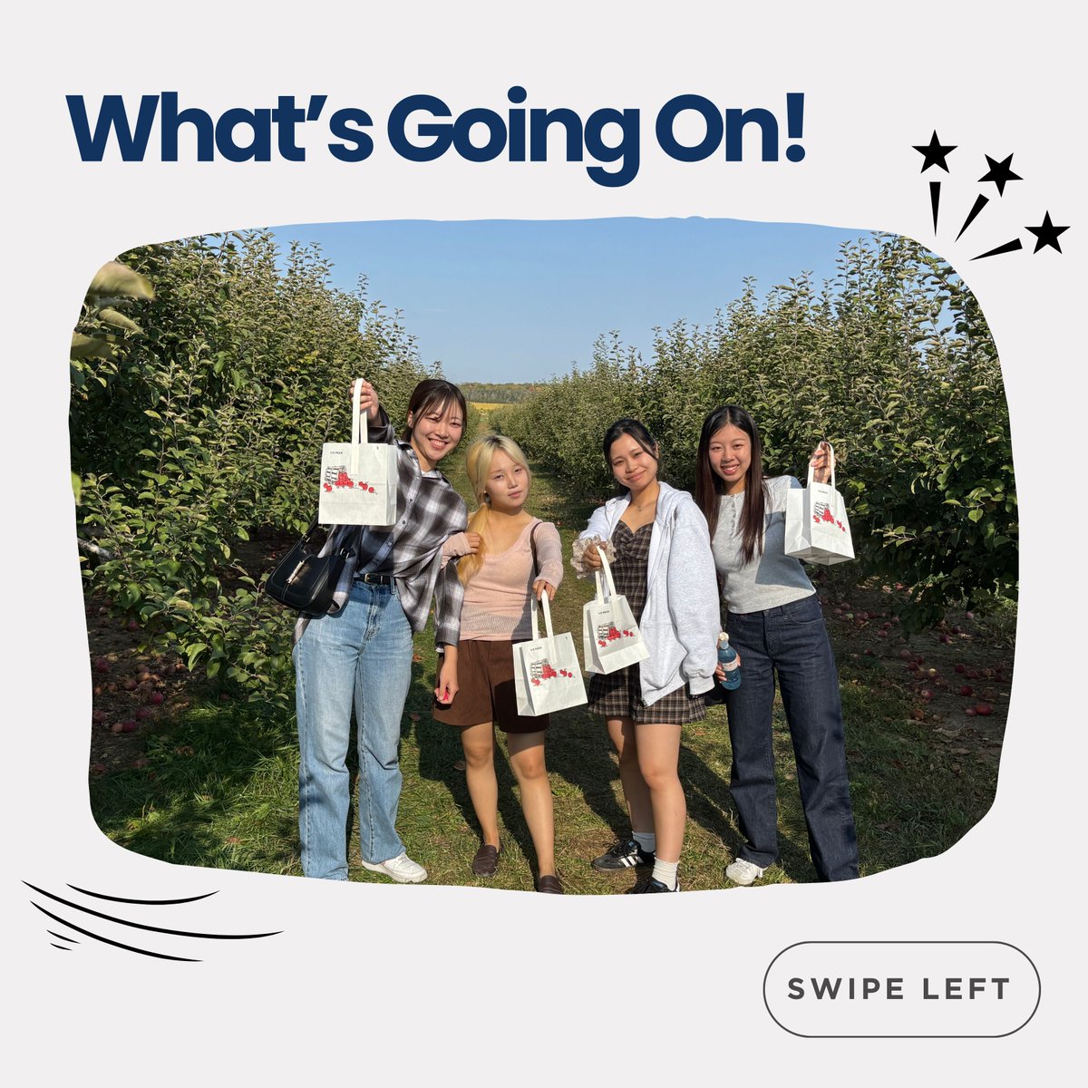 School of English tweet media