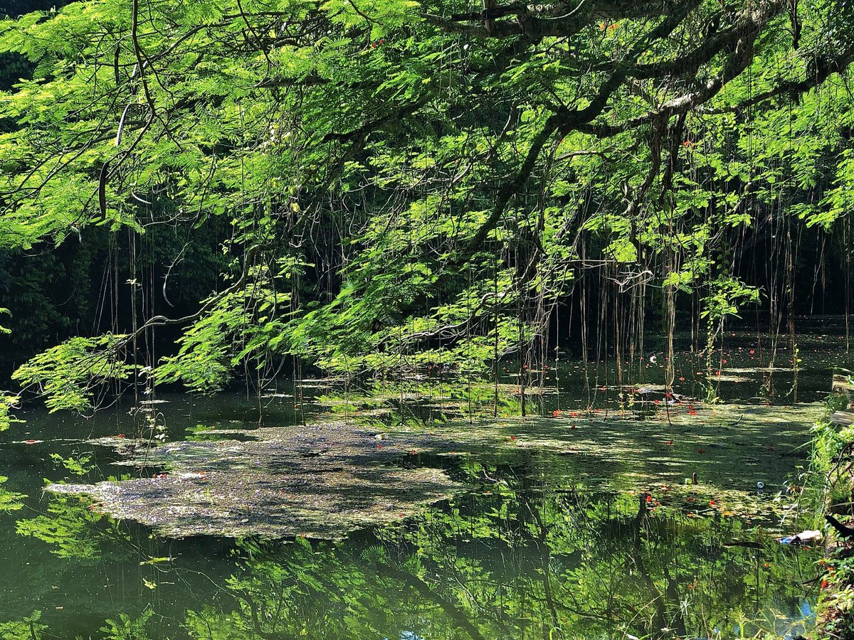 Postales de Artemisa