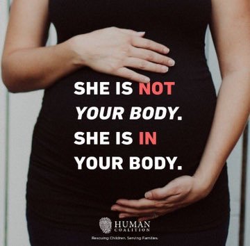 My Thoughts 🇻🇦 (@homeacc37626866) on Twitter photo 