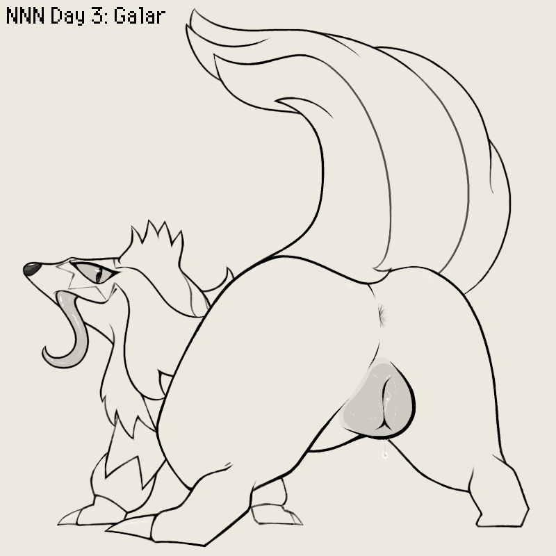 wnonstop noone november continues