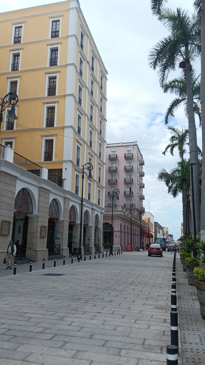 ALBERTOGSEDAS's tweet image. Está quedando la Avenida independencia en el #puertojarocho de peluches