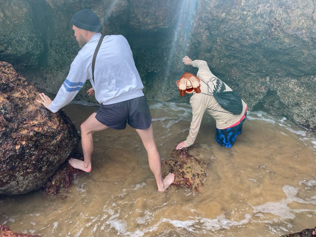 Tom Rowsell tweet media