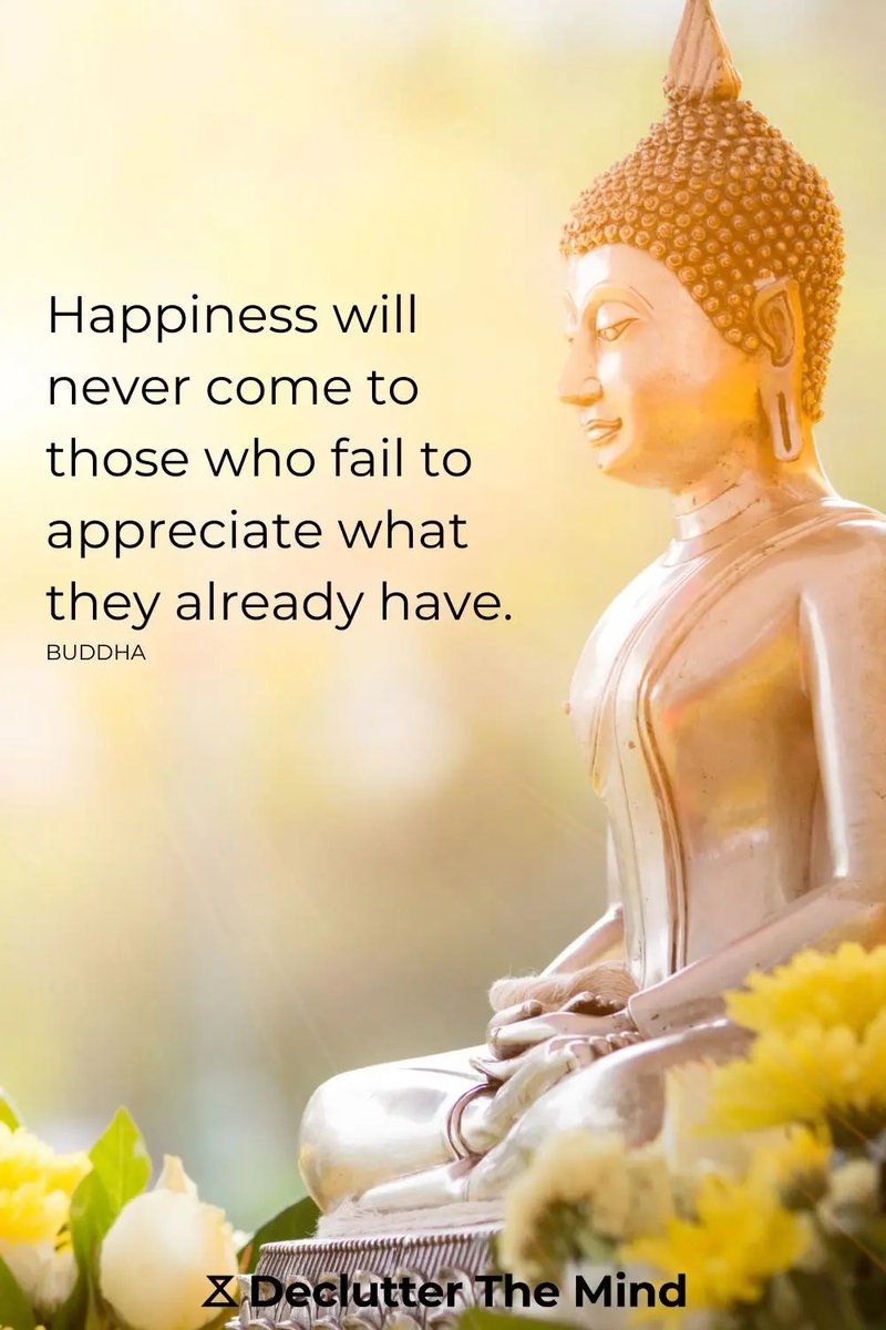 The Mindfulness Meditation Institute tweet media