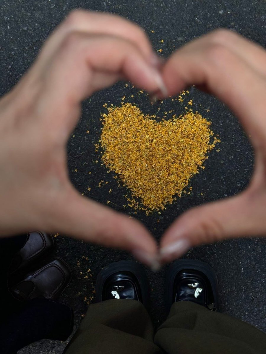 Maria52157's tweet image. 