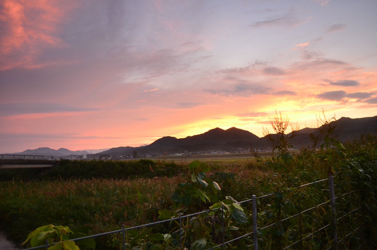 PhotoYamakawa's tweet image. I photograph what I cannot say, and say what I cannot forget.

#ChronicIllnessWarrior #InvisibleDisability #Photography #LandscapePhotography #NatureLovers #NFTPhotography