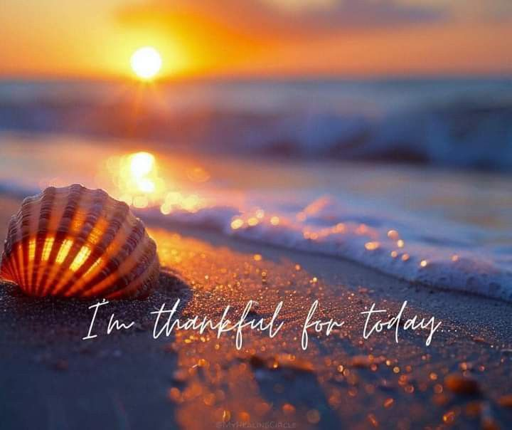 ElaraNotesulo's tweet image. 