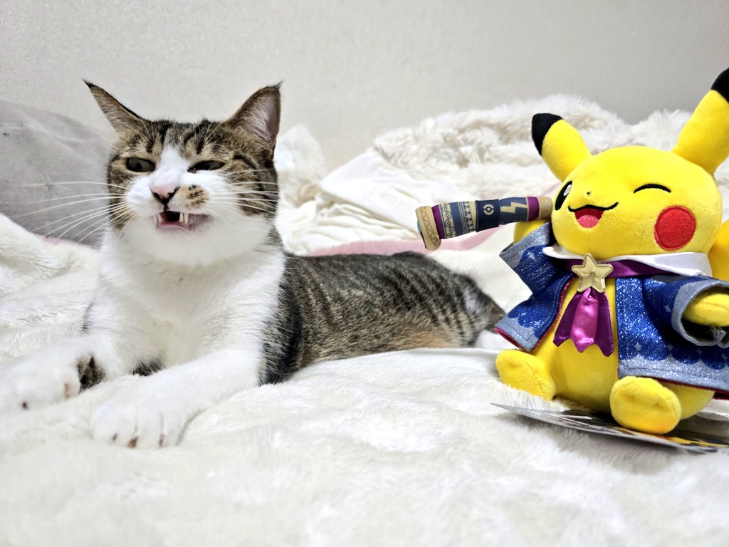 まりもちゃん！と🧌 (@marimo2021915) / Posts / X