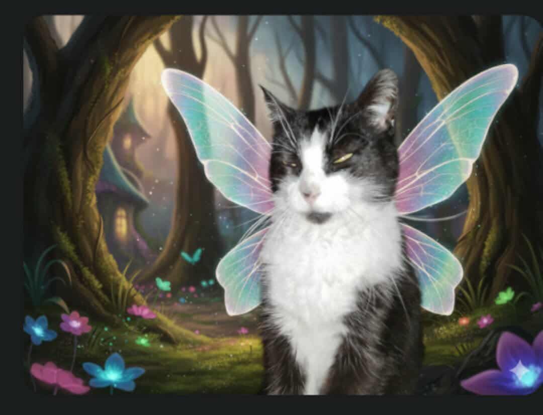 Cxssrd tweet picture