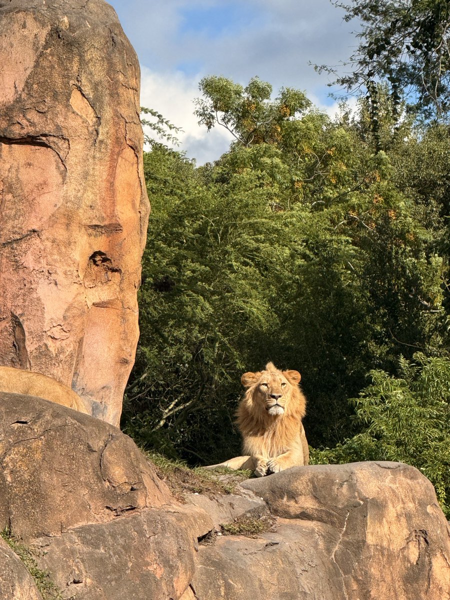 ♉︎ ℌ𝔦𝔤𝔥𝔢𝔯 𝔖𝔢𝔩𝔣 ⬡ tweet media