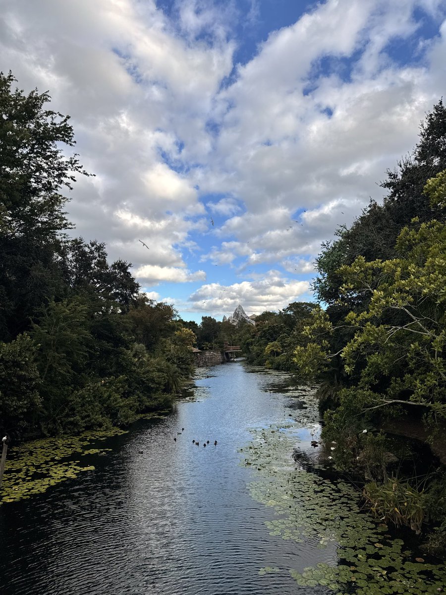 ♉︎ ℌ𝔦𝔤𝔥𝔢𝔯 𝔖𝔢𝔩𝔣 ⬡ tweet media