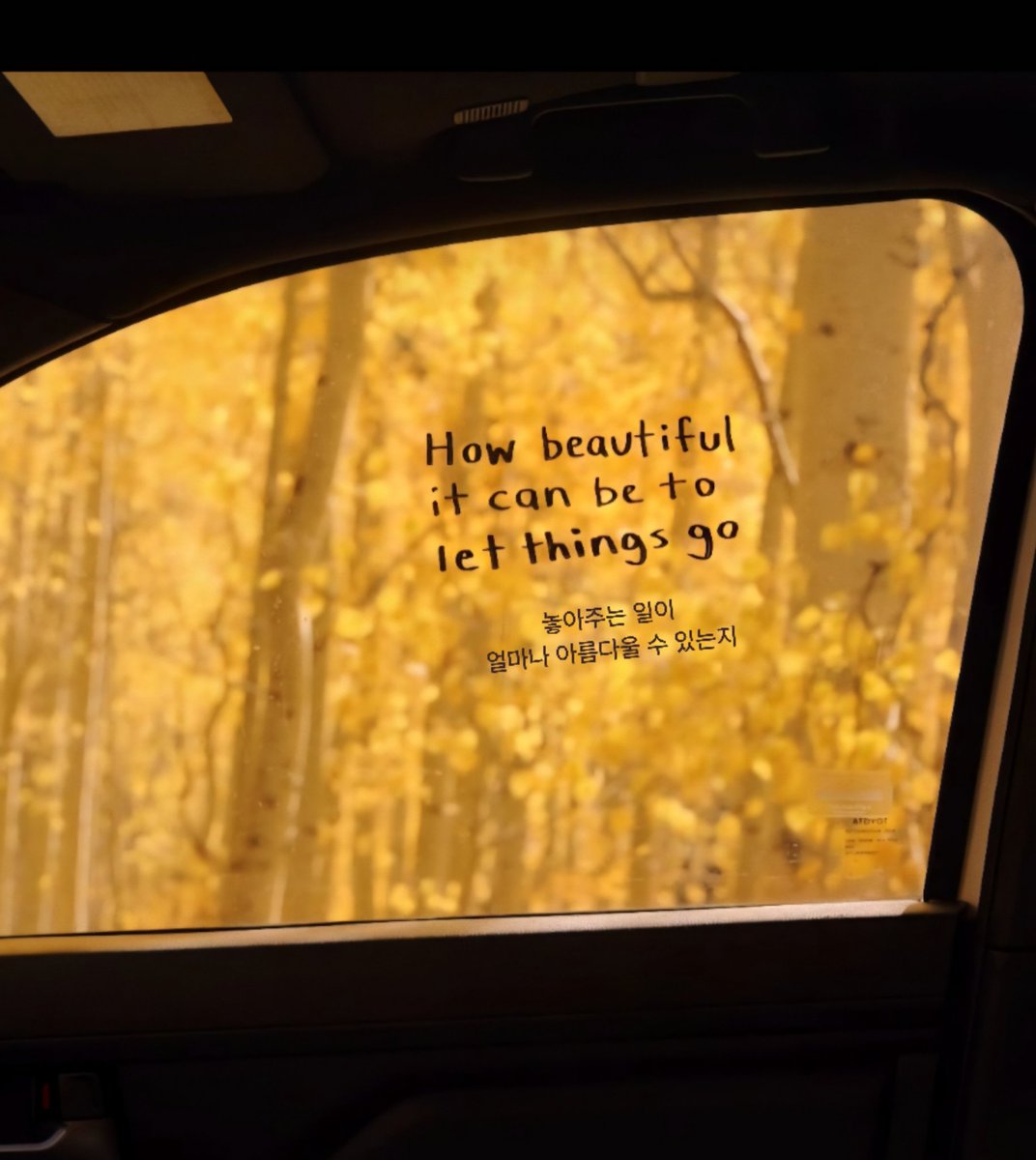 morning 🩵 

비워야 채워진다
- 라오쯔

가끔은 
놓아주는 게
가장 아름다운 일일 때가 있어요.
가벼운 마음으로, 오늘도 🌾