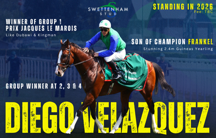 🌟 A new chapter begins.

Diego Velazquez (Group 1 winner by Frankel) standing at <a href="/SwettenhamStud/">Swettenham Stud</a> in 2026.

swettenham.com.au