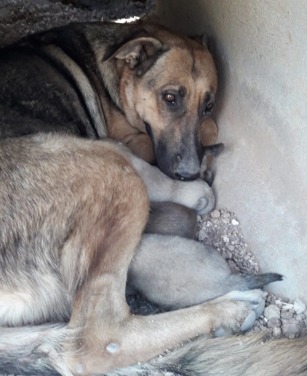 Granovskayaning nashr etilmagan yalangoch fotosuratlari