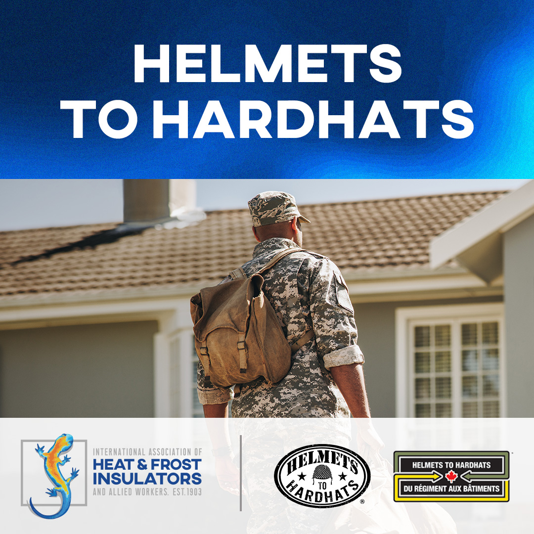 Insulators Union 🦎 tweet media