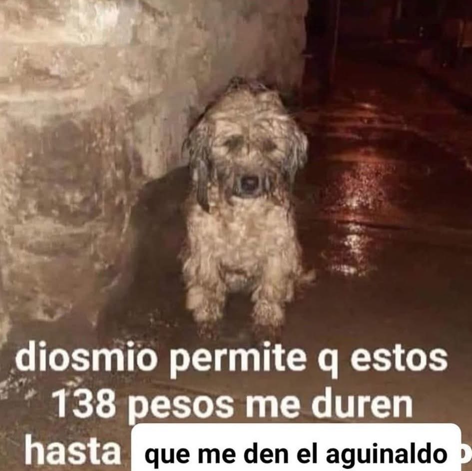 el jeringas (@eljeringasloko) on Twitter photo 