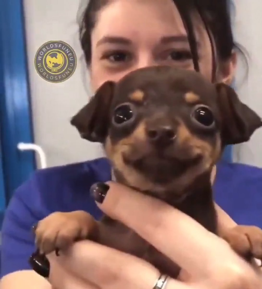 vlad (@rambybamby) on Twitter photo 