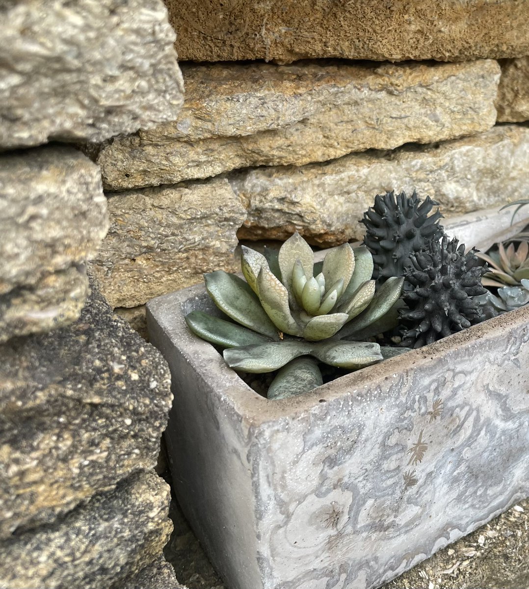 こうちゃん on X