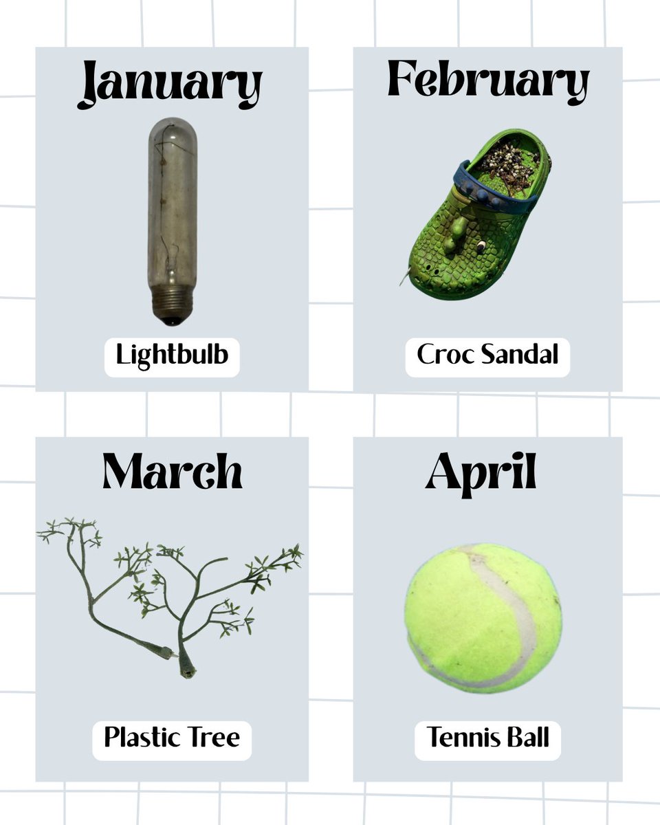 Great Lakes Plastic Cleanup tweet media