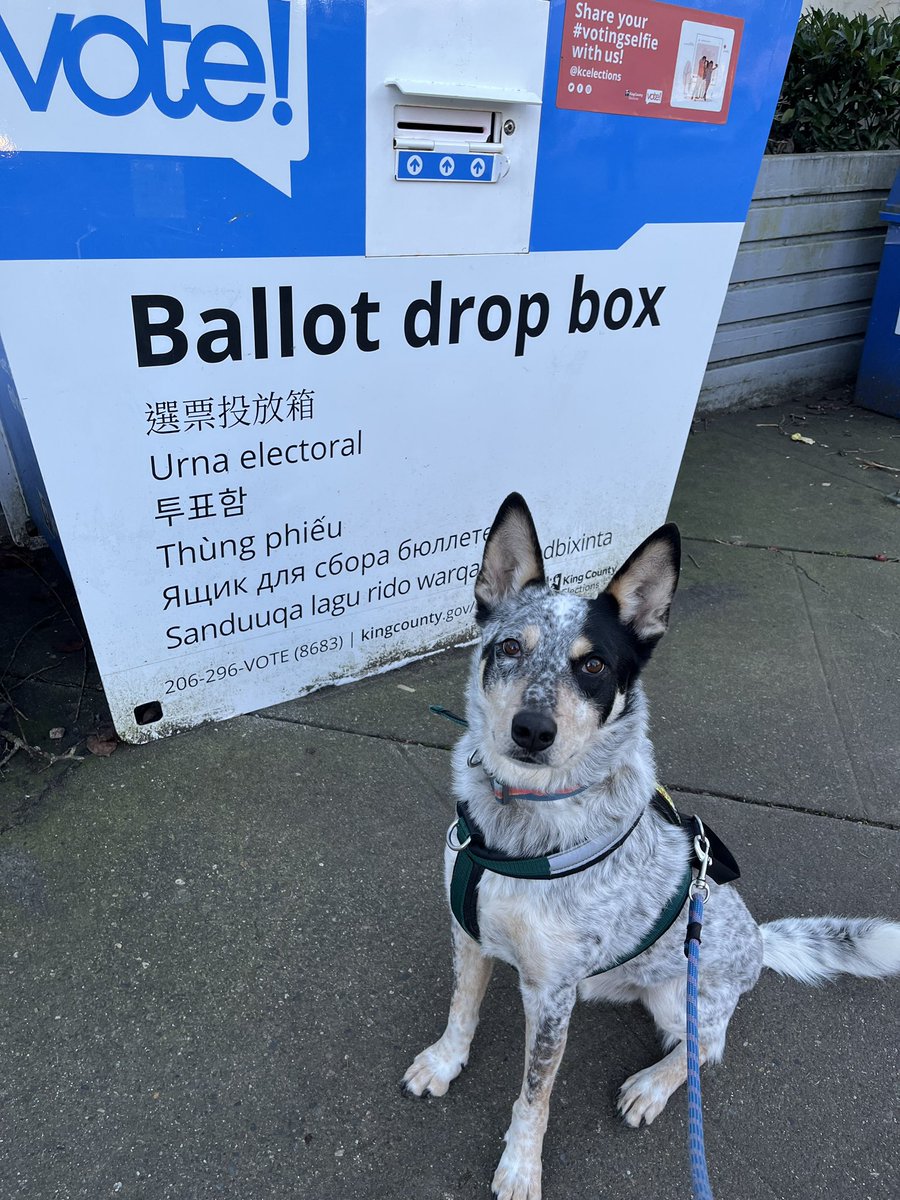 Seattle Streets Alliance tweet media