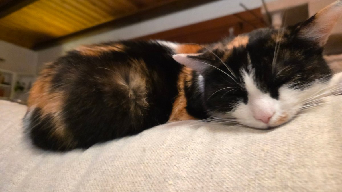 Cylockine tweet media