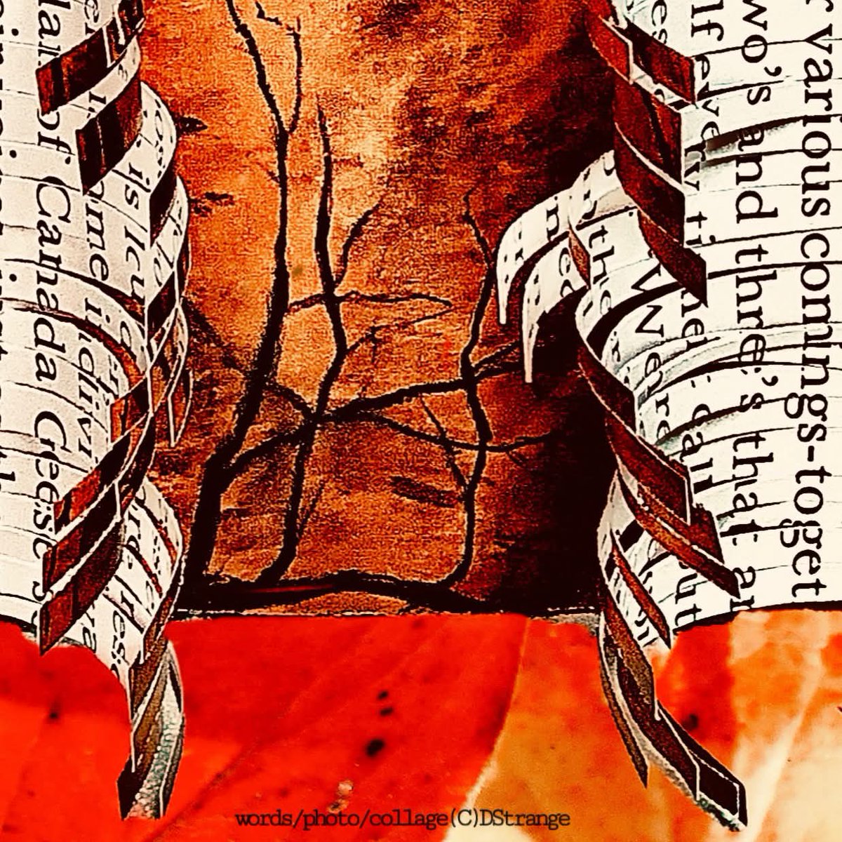 InkSweatTears's tweet image. In @Debbie_Strange's poem, 'Evacuation', instead of escaping, the speaker explores how humans might extend kindness to the natural world. 

Read it here: inksweatandtears.co.uk/debbie-strange… 

#InkSweatandTears #WordandImage #Submission