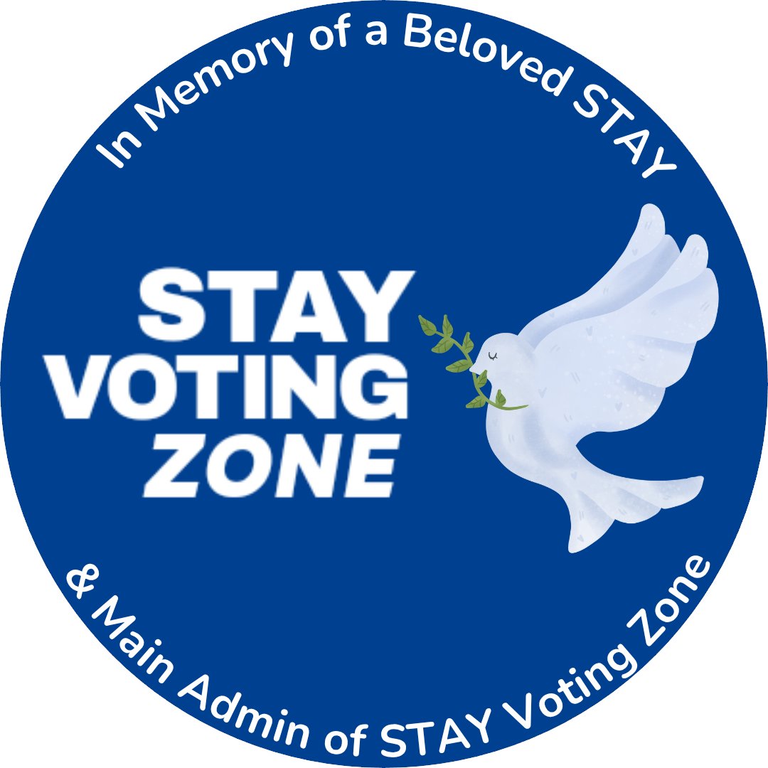 🗝 Stray Kids Comeback Guide tweet media