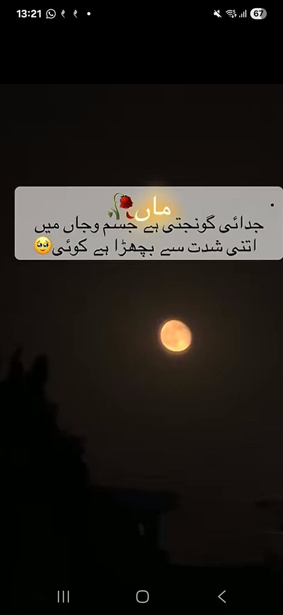 AsianFoodRecip1's tweet photo. Aslamu Alaikum ❣️ 
.............
.............
.............
Good Night sweet dreams 💫 https://t.co/mJ0g0PBpxo