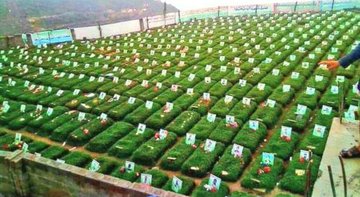 فَرِحِينَ بِمَا آَتَاهُمُ اللهُ مِنْ فَضْلِهِ وَيَسْتَبْشِرُونَ بِالَّذِينَ لَـمْ يَلْحَقُوا بِهِمْ مِنْ خَلْفِهِمْ أَلَّا خَوْفٌ عَلَيْهِمْ وَلَا هُمْ يَحْزَنُونَ 

هنيئاً هنيئا 

#شهداؤنا_عظماؤنا 
#الذكرى_السنوية_للشهيد