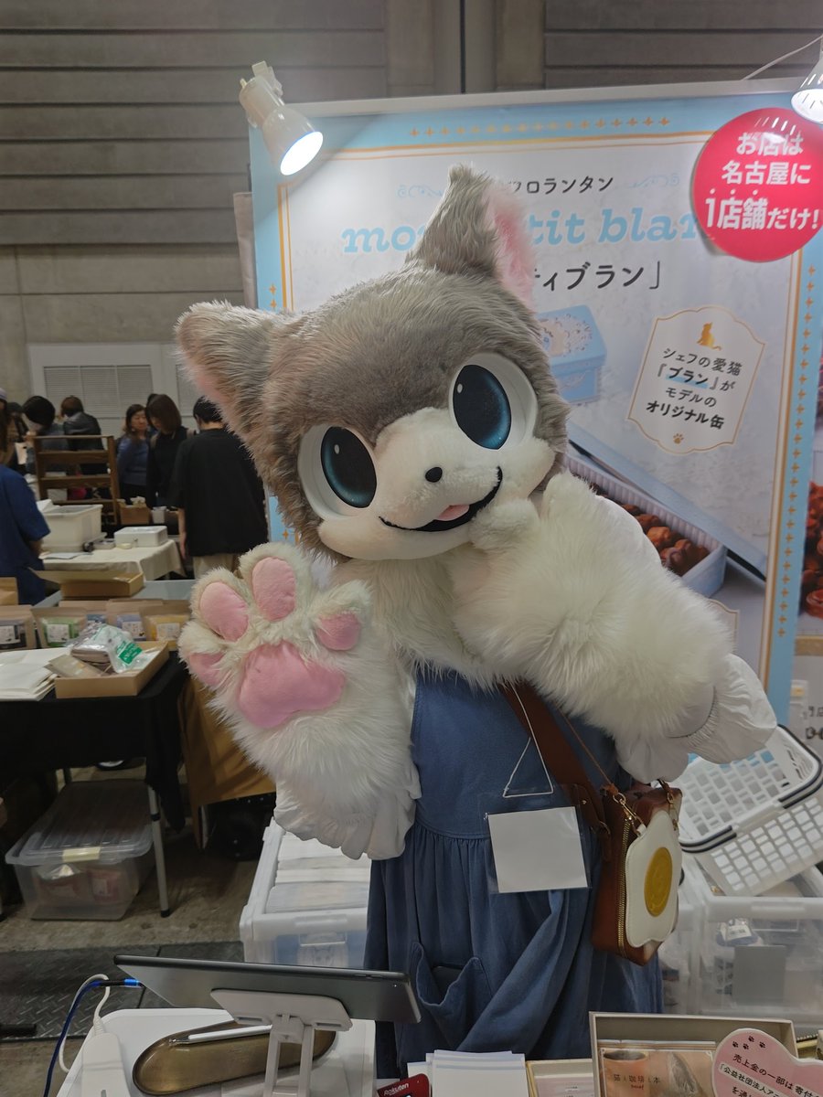 YAYUMU1's tweet photo. @nekotenchompp2  #猫店長  #モンプティプッサン #ヨコハマハンドメイドマルシェ https://t.co/OZuZuY4Q3e