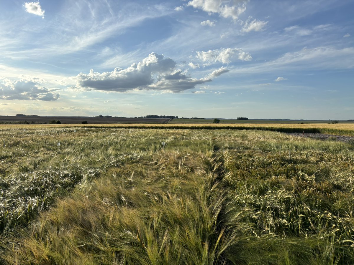 maria pardo tweet media