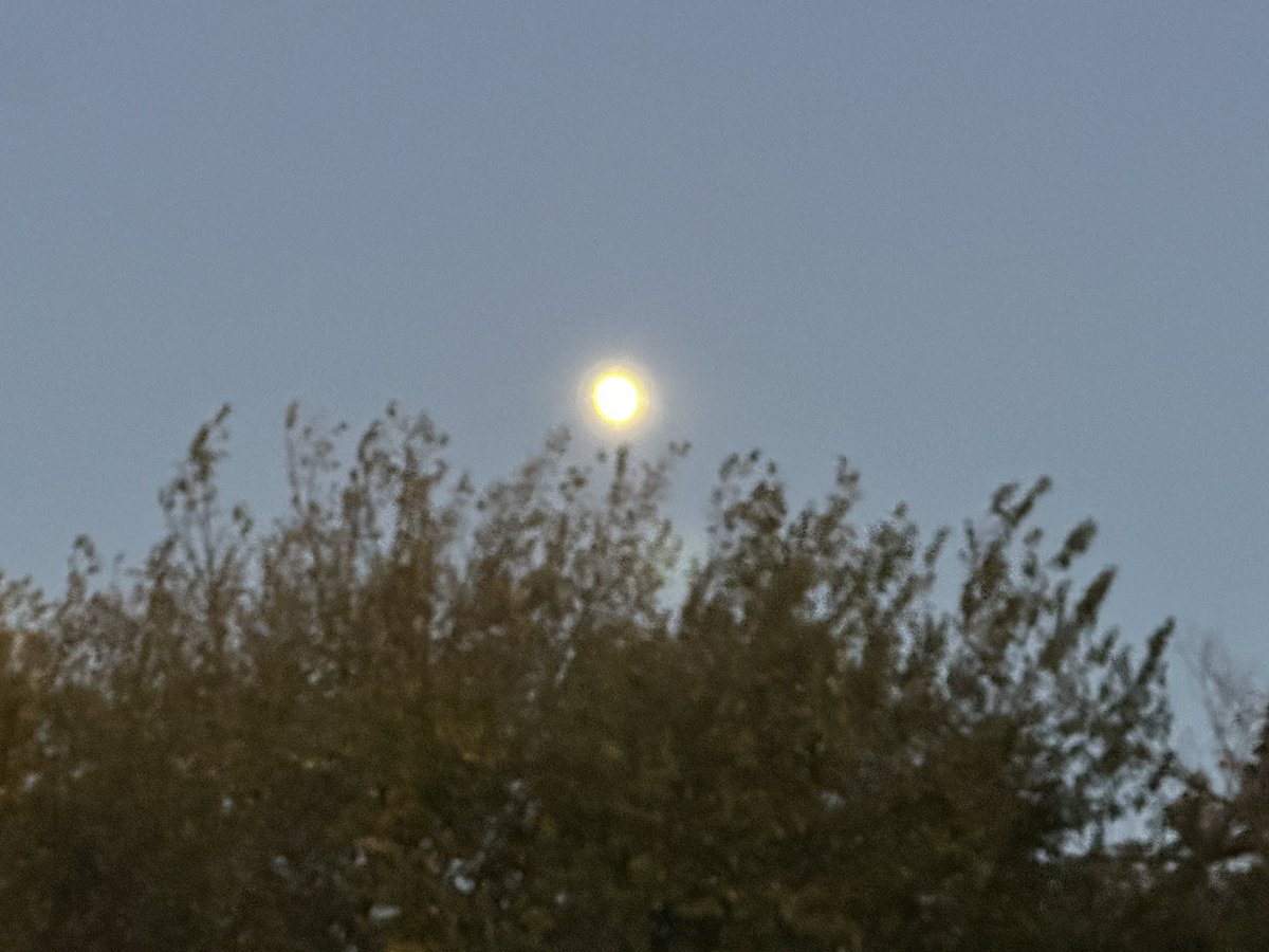 ふくちゃん on X