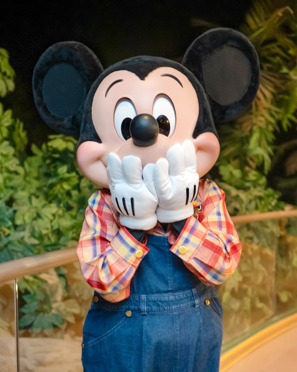 sanun___01's tweet image. EPCOT「ガーデングリル」👨🏻‍🌾🍽

とーってもかわいい農夫さんたちがあそびにきてくれるよ⸝⸝⸝♡
ディズニー内の温室で育てられた野菜を使ったメニューがどれも本当に美味しかったの.ᐟ.ᐟ
ボリューミーなので2人以上がおすすめ！(お肉おかわりしちゃったけど笑)

 #wdw #LivingwiththeLand