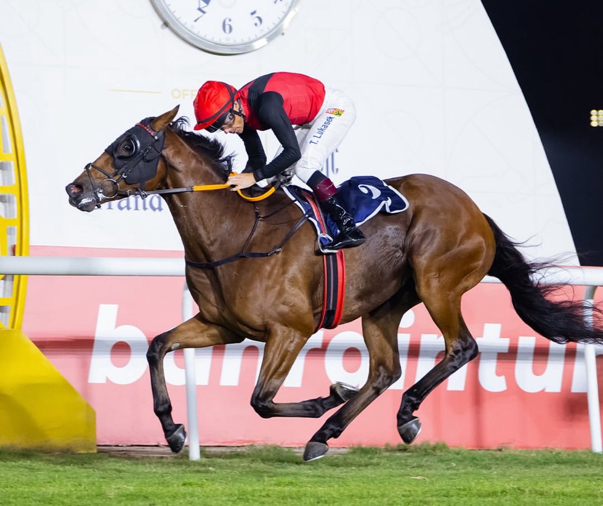 Win 6️⃣ for SALAMANCA LAD! 🏆

Jaber Ramadhan’s gelding struck <a href="/BahrainTurfClub/">Bahrain Turf Club</a> under jockey Tomas Lukasek. 

The son of Profitable was a #GoffsOrby Book 2 purchase by Bobby O’Ryan and <a href="/RichardFahey/">Richard Fahey</a>, consigned by <a href="/OghillHouseStud/">Oghill House Stud</a> 

#Goffsgrads | 📸 <a href="/BahrainTurfClub/">Bahrain Turf Club</a>