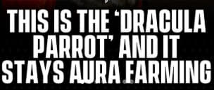 elmnthq's tweet photo. how has this not ran?

pubity posted a parrot that looks like dracula 

they mentioned in the caption that the bird is "stays aura farming"

the last aura bird to go ran to mills

does this not send??

https://t.co/nLyN82wiuG https://t.co/fMaSnIm9bk
