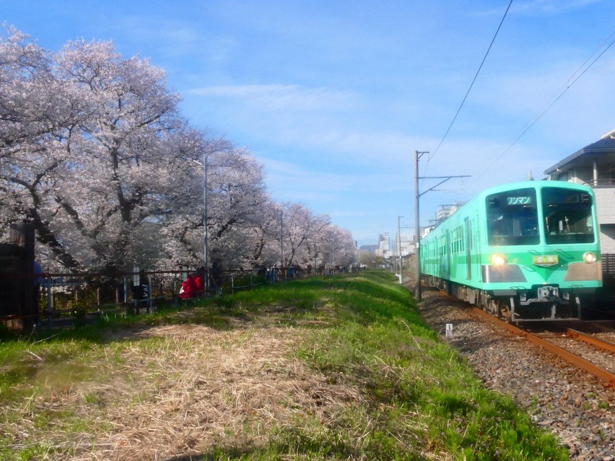 希少】misha and puff花鉄 basil railroad 3Y 希少】misha and puff花