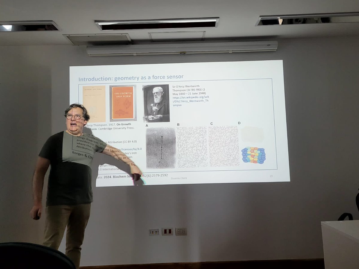 Instituto de Investigación en Biomedicina de BsAs tweet media