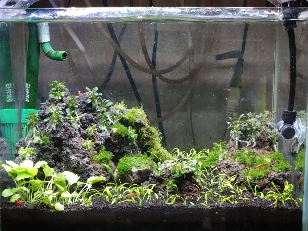 まさ@某ブログ管理人 on X