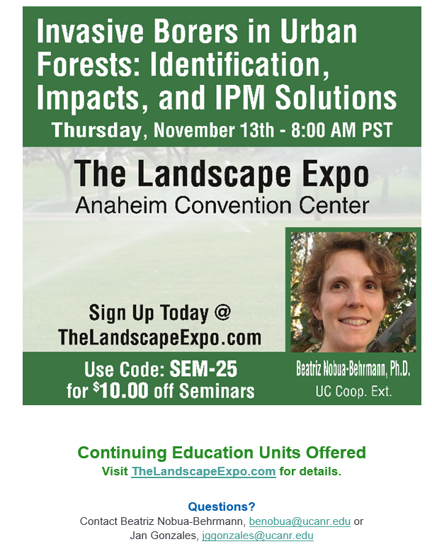 Shothole Borers in California tweet media