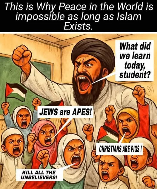 Imtiaz Mahmood (@imtiazmadmood) on Twitter photo 