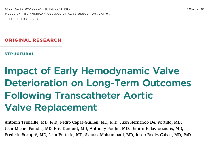 Deborah Nercolini tweet media