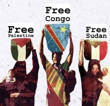 PalestineCultu1's tweet photo. All Eyes On:  
Sudan 🇸🇩 
Congo 🇨🇩
Palestine  🇵🇸 https://t.co/qaAo3or8cL