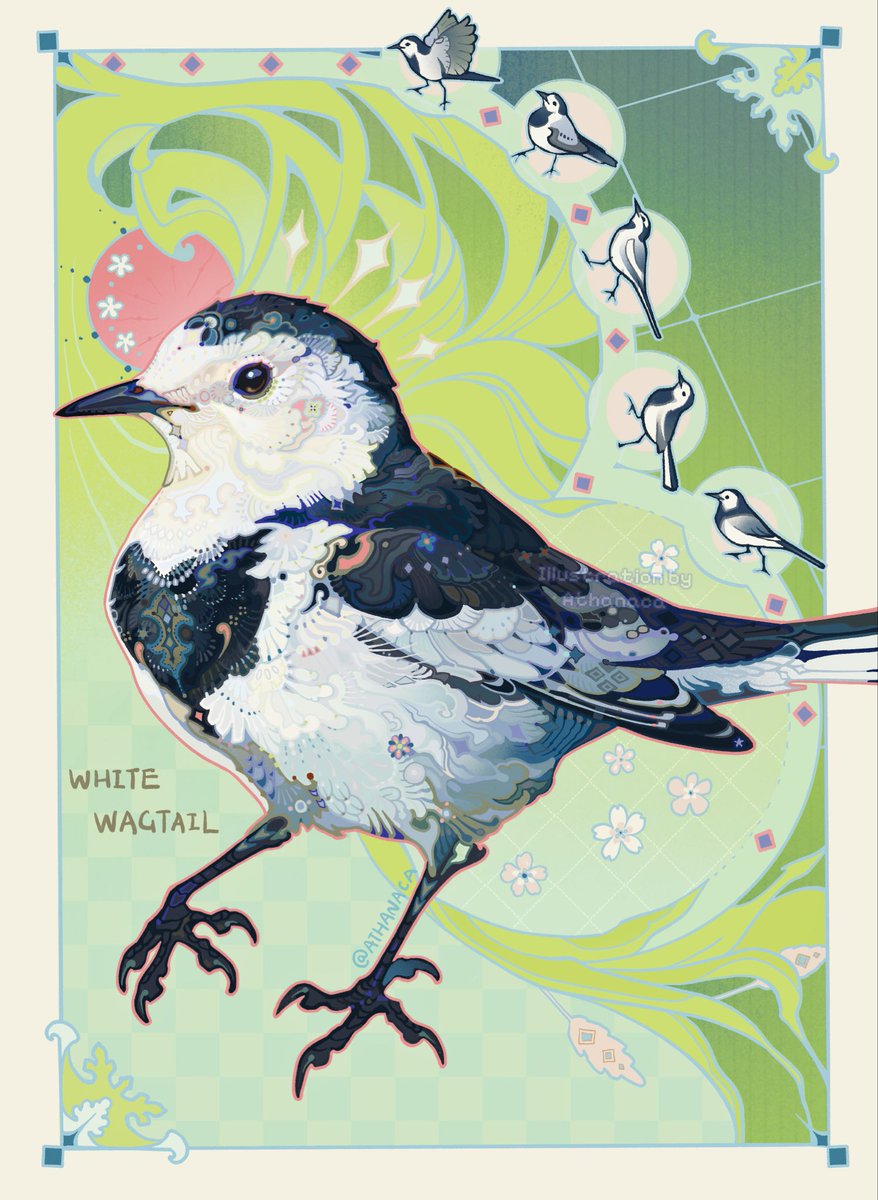 🌱🌸
#birds #illustration #birdart #originalart