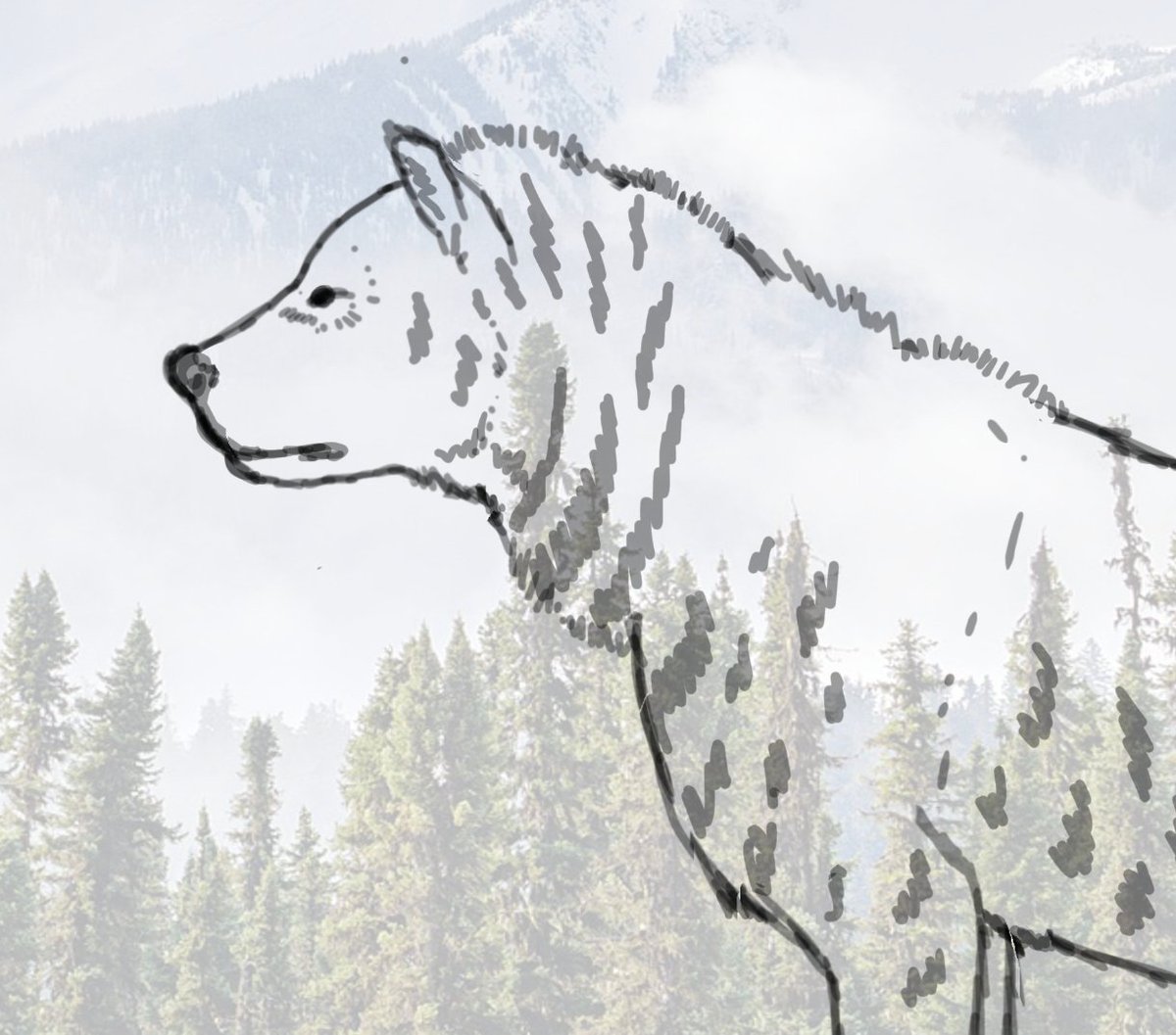 Pachycrocuta brevirostris ( Próximamente)