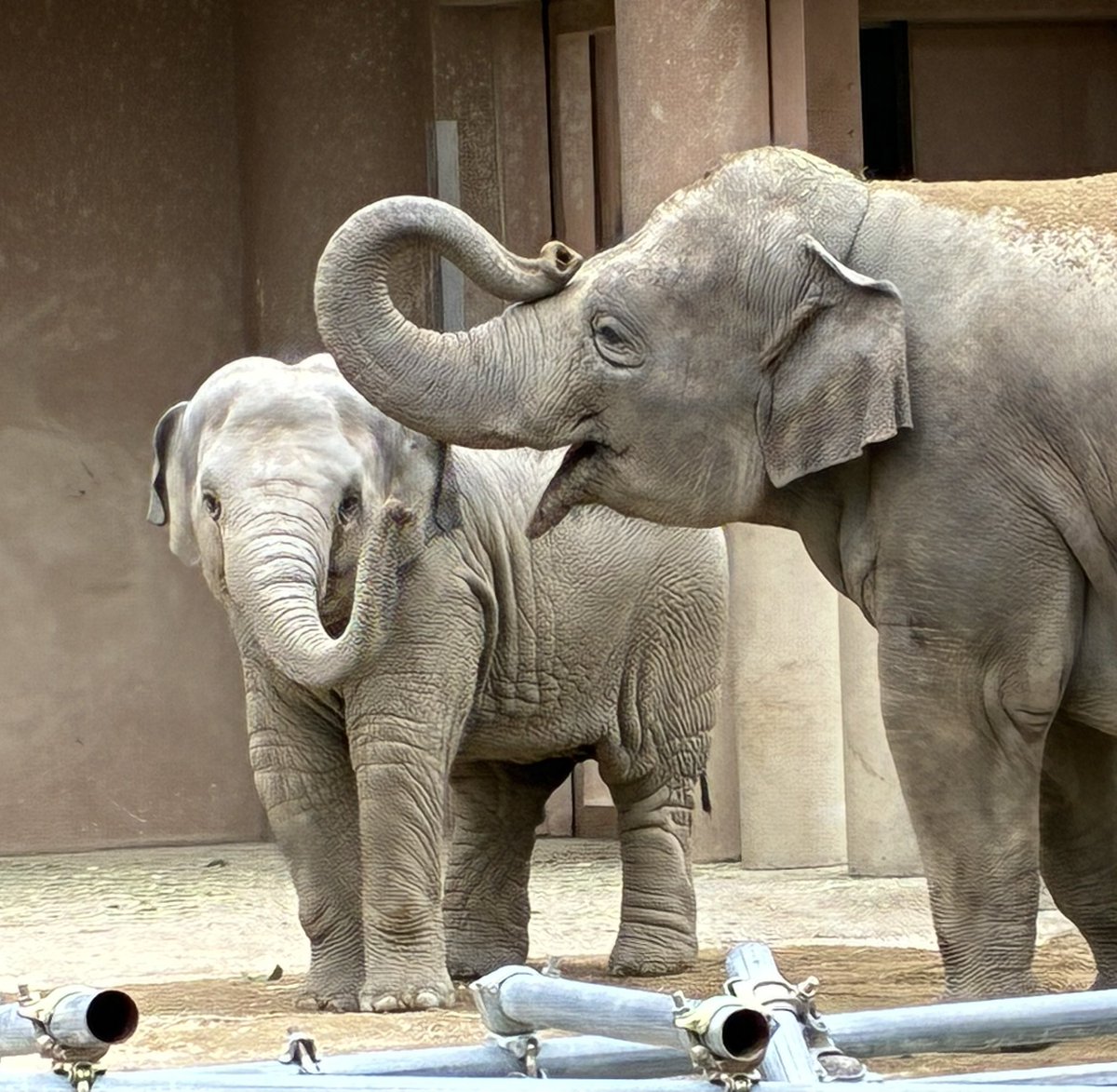 きょうちゃん on X