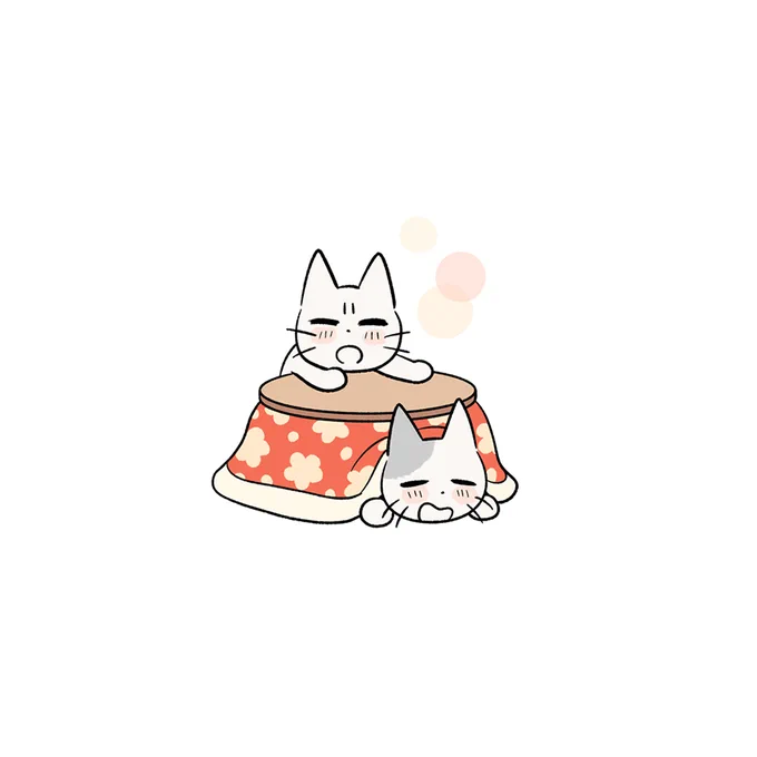 こたつ出した人〜〜〜?